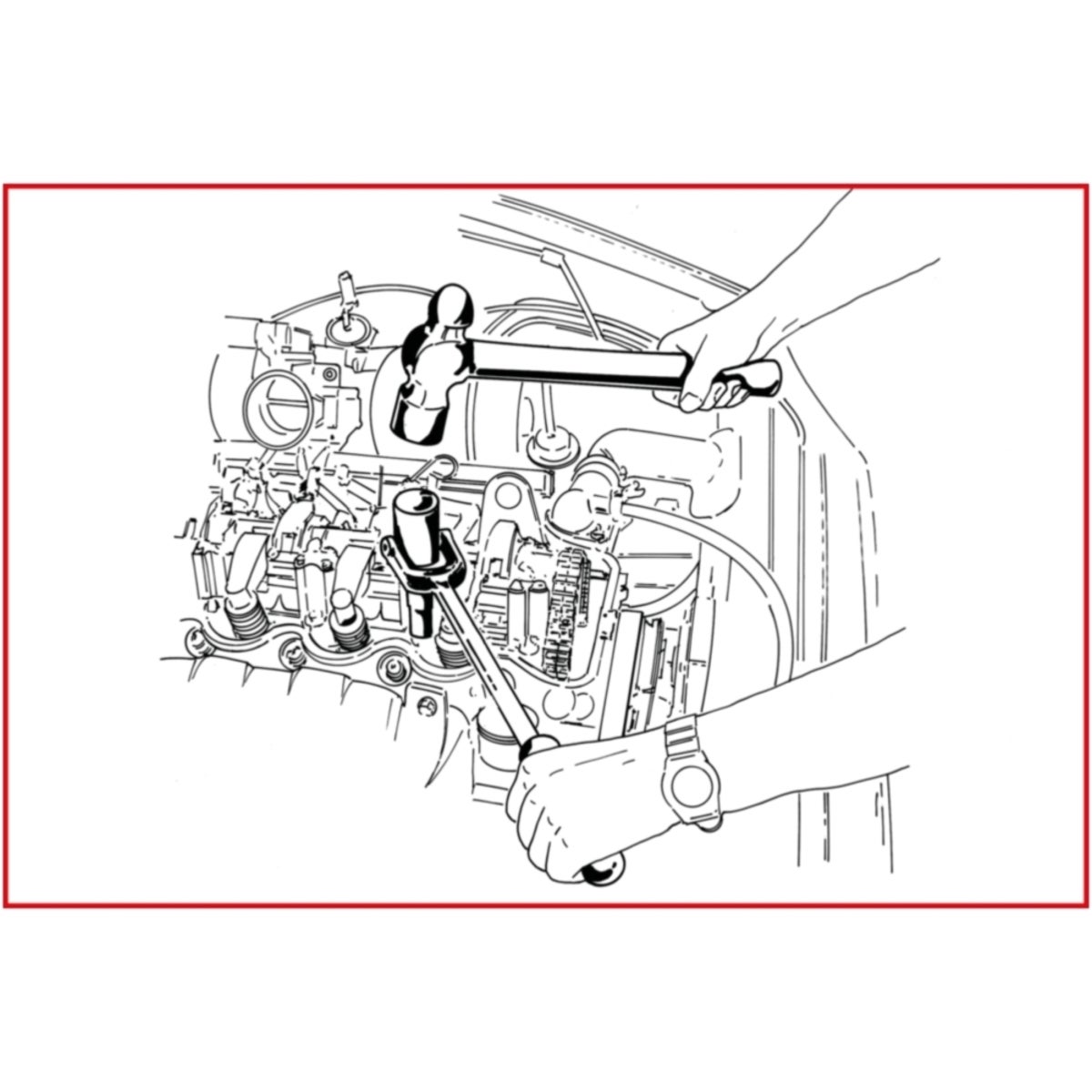 FOT_ANW_ALG_SCHR_150_2096_AW3_SALL_AING_V1