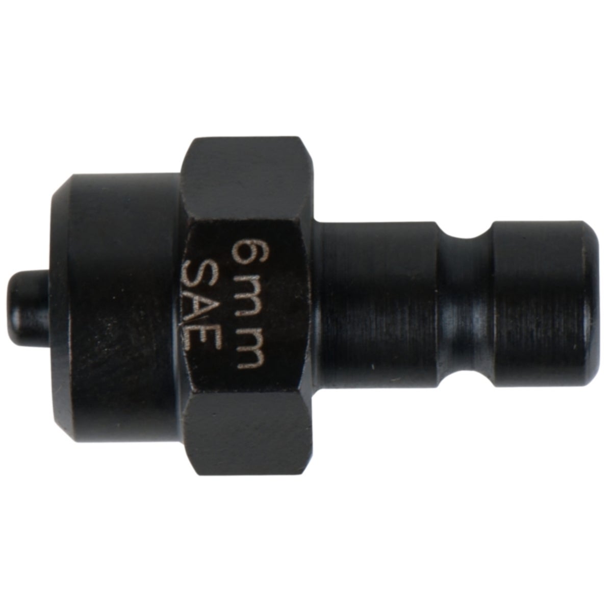 FOT_PRO_ALG_AUTO_122_1265_SALL_AING_V1