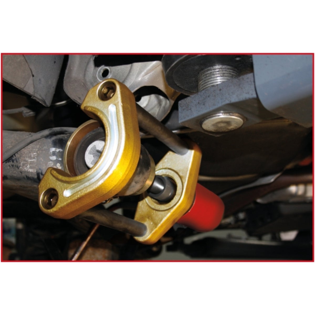 FOT_ANW_ALG_AUTO_440_0180_AW3_SALL_AING_V1