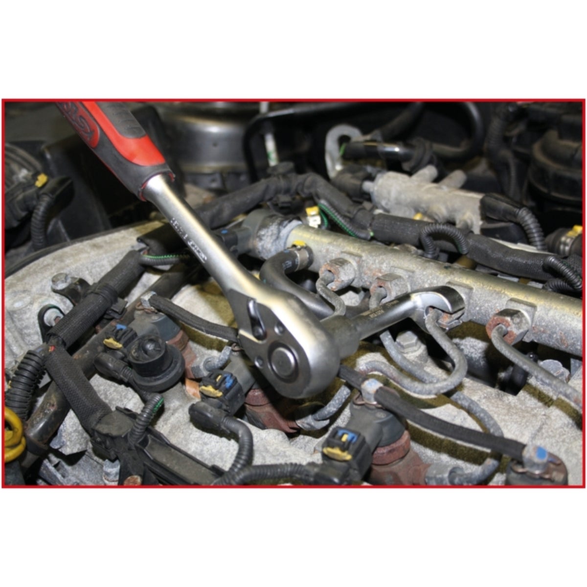 FOT_ANW_ALG_AUTO_913_121X_1-6__AW1_SALL_AING_V1