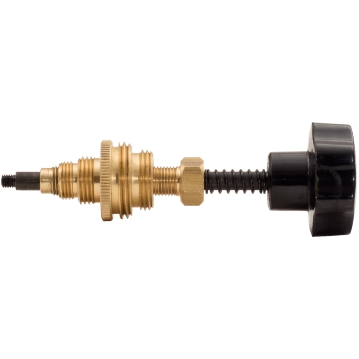 FOT_PRO_ALG_SAN_136_1000_SALL_AING_V1