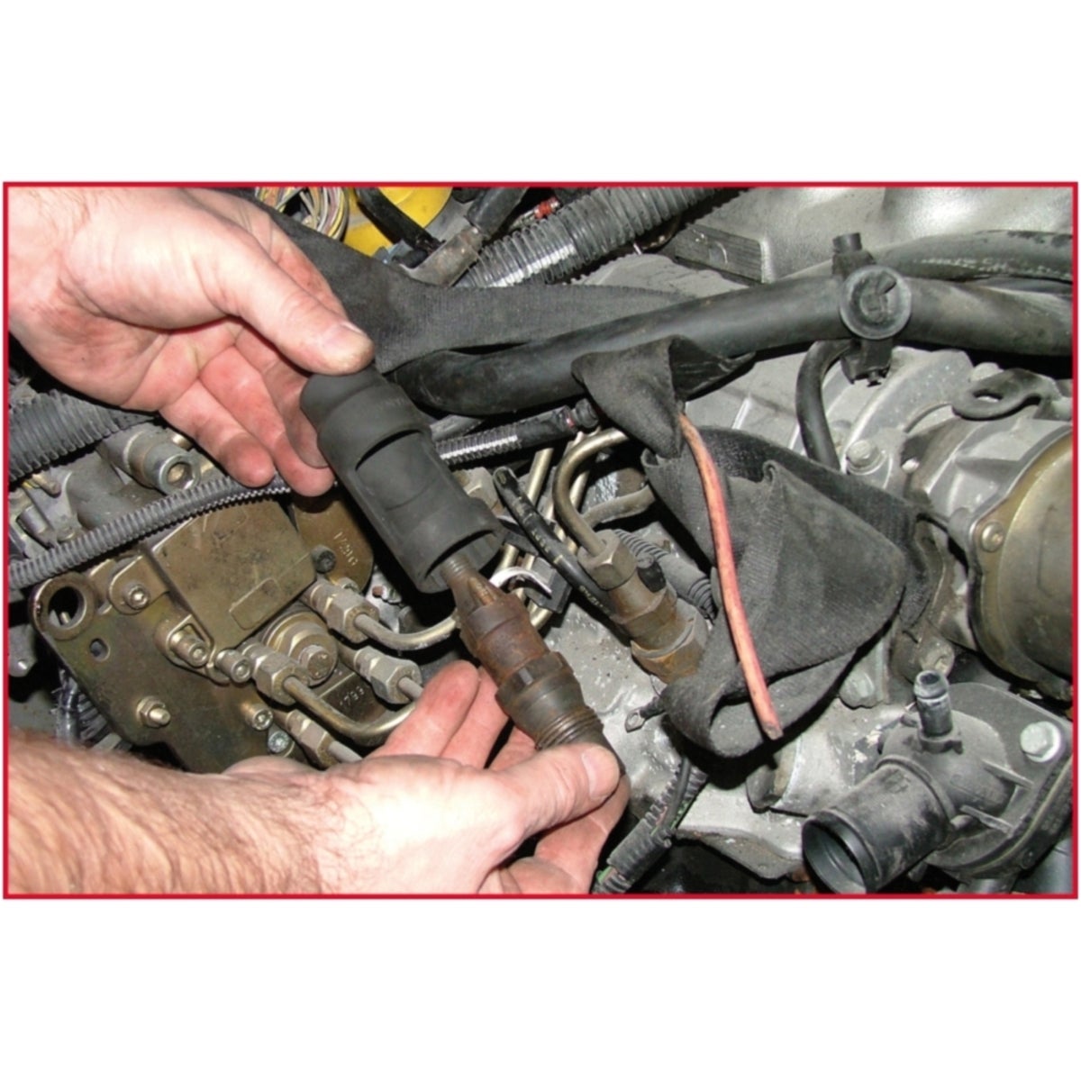 FOT_ANW_ALG_AUTO_150_2124_AW1_SALL_AING_V1