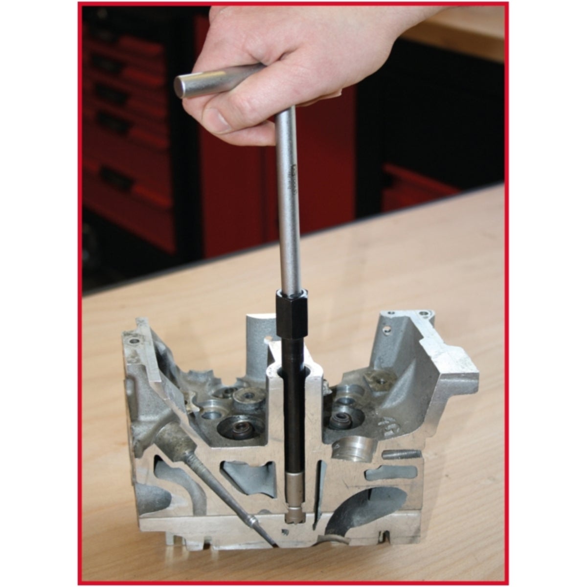 FOT_ANW_ALG_AUTO_152_146X_4-7__AW1_SALL_AING_V1