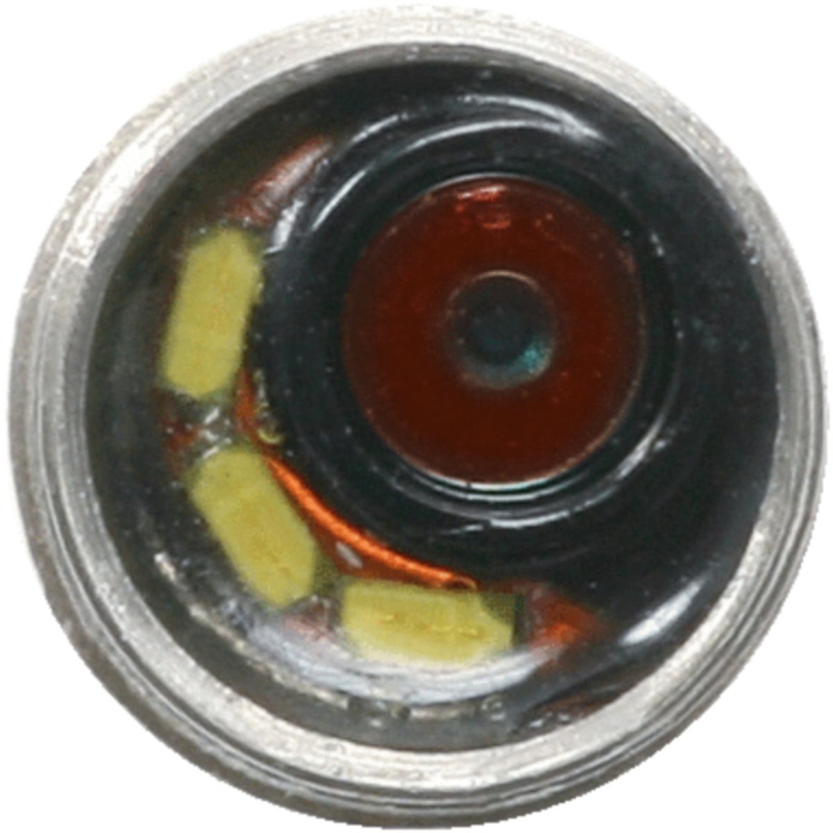 FOT_PRO_VAR_INSP_550_749X_1-2__4_SALL_AING_V1