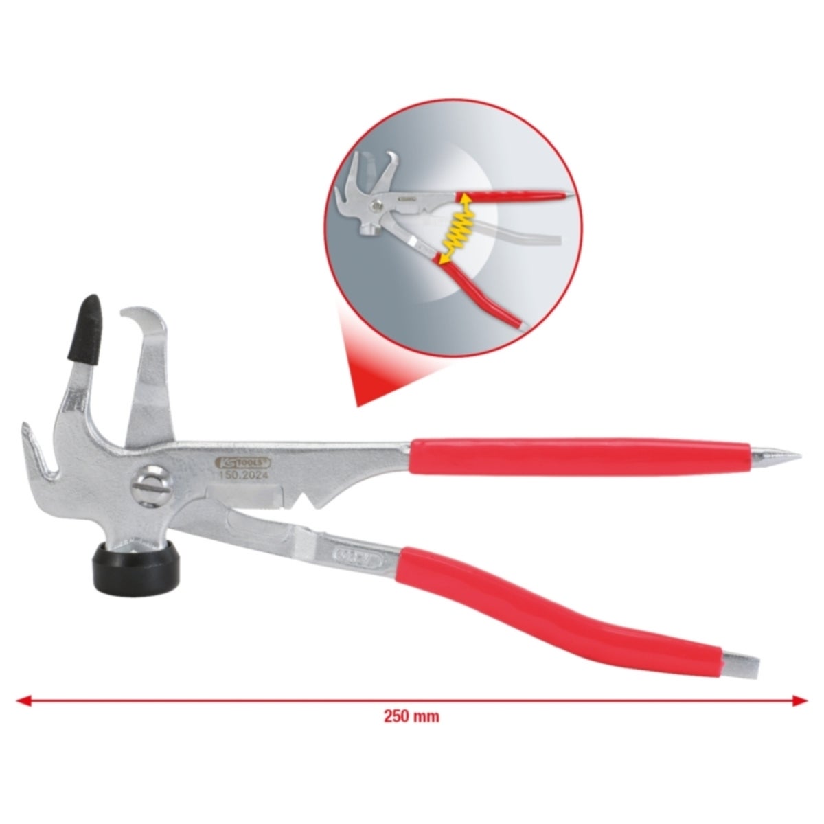 FOT_GES_ALG_150_2024_GB_SALL_AING_V1