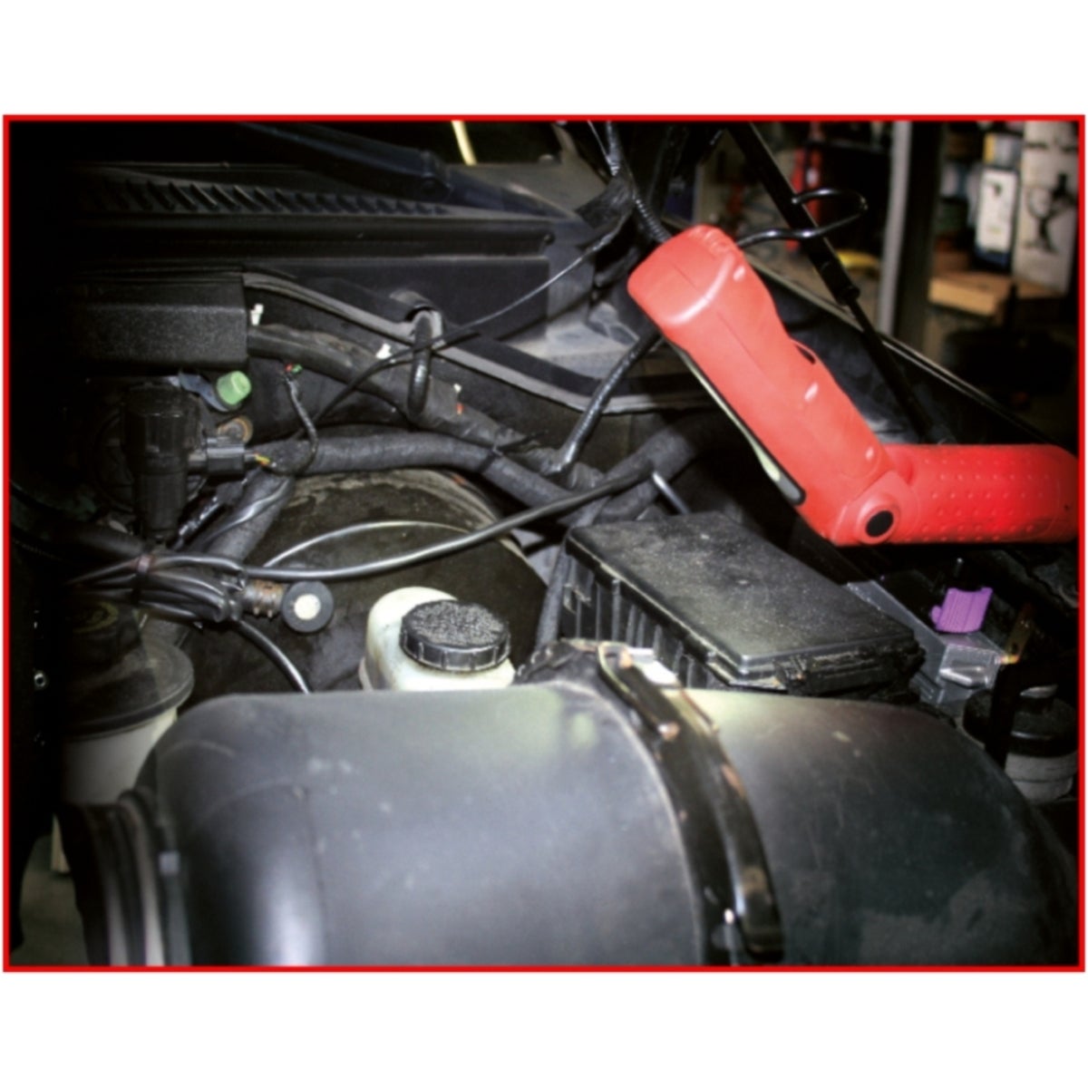 FOT_ANW_ALG_WZAL_150_4310_AW4_SALL_AING_V1