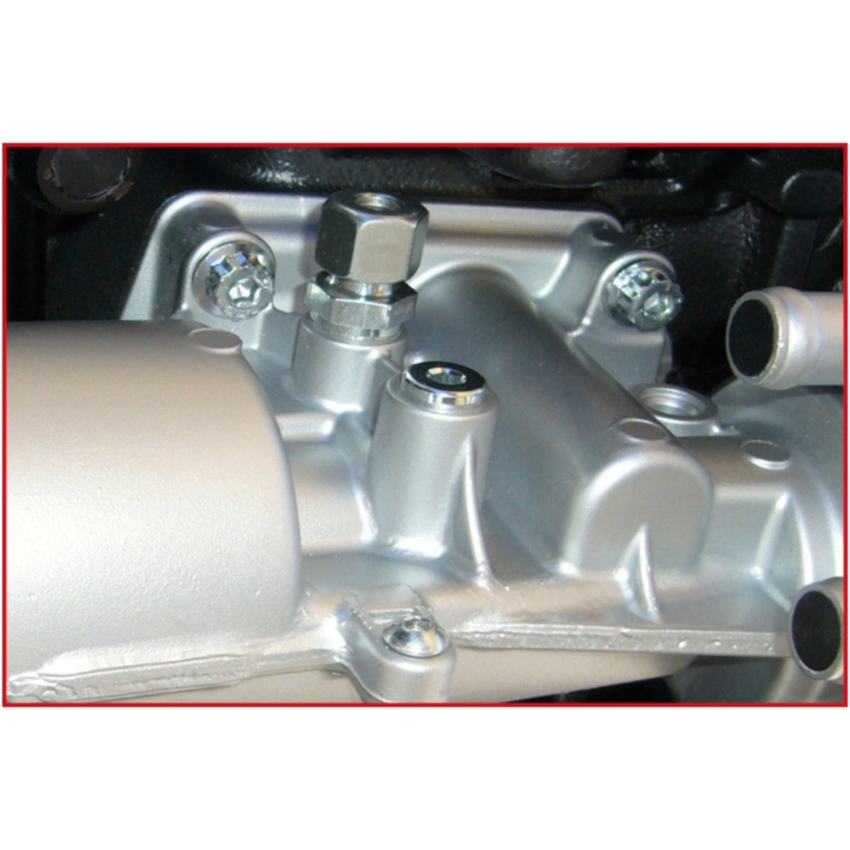 FOT_ANW_ALG_STK_515_0950_AW2_SALL_AING_V1