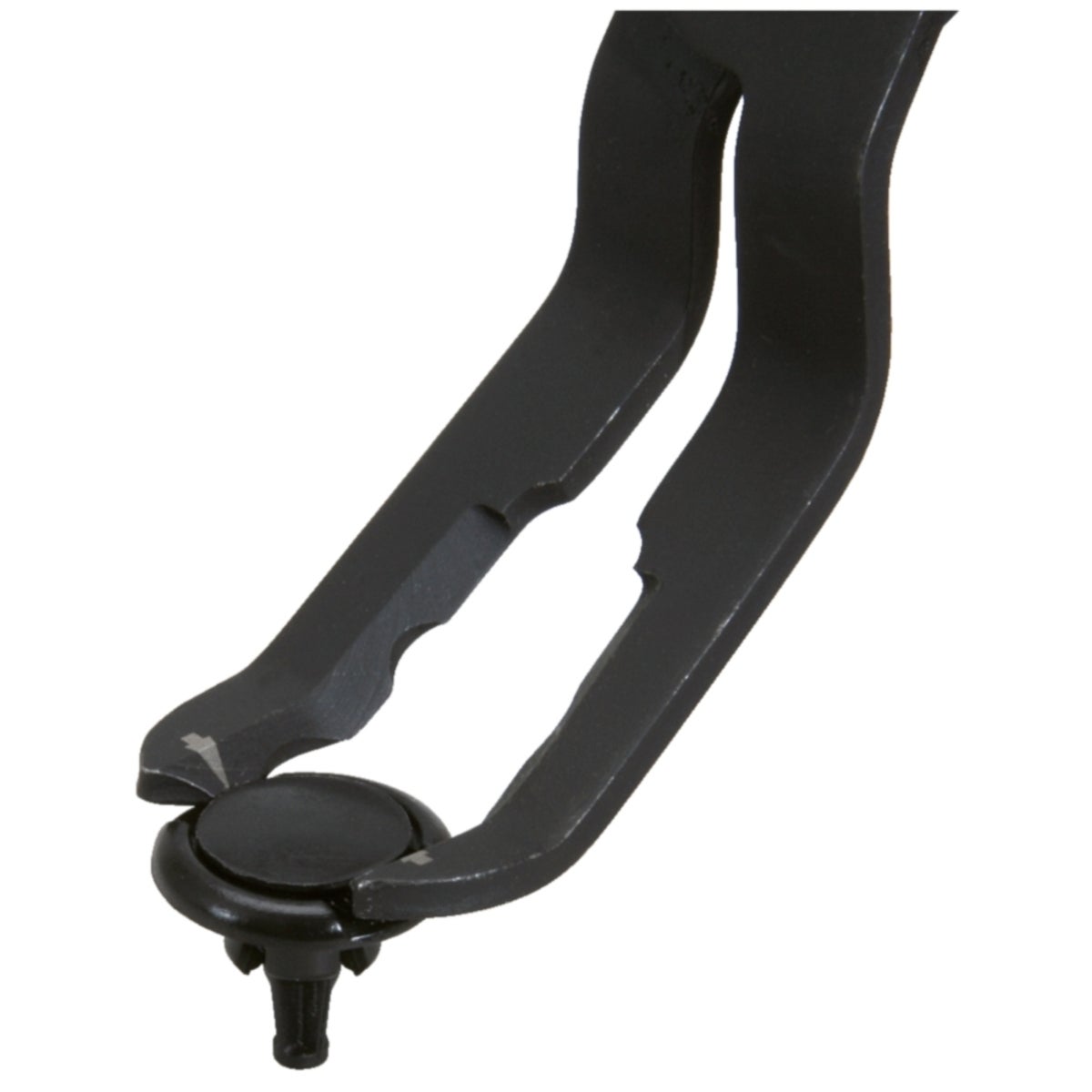 FOT_ANW_ALG_ZA_115_1087_AW1_SALL_AING_V1