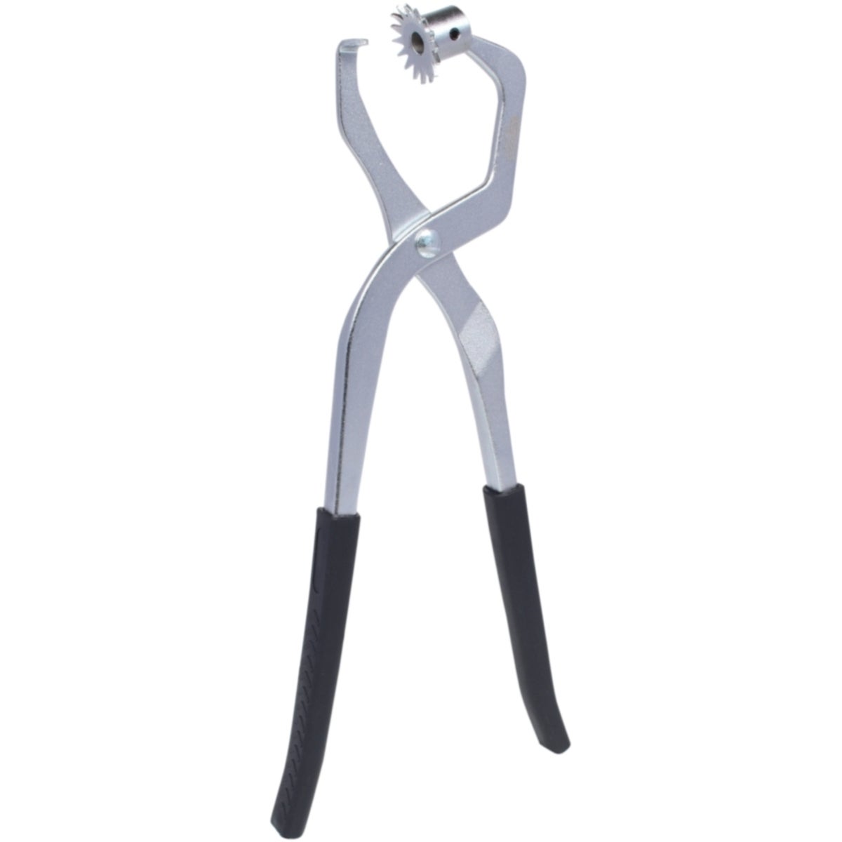 FOT_PRO_ALG_150_2116_SALL_AING_V1