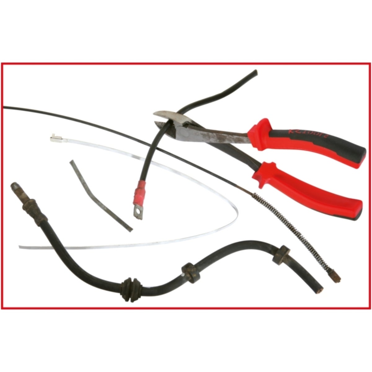 FOT_ANW_ALG_ZA_115_1025_AW1_SALL_AING_V1