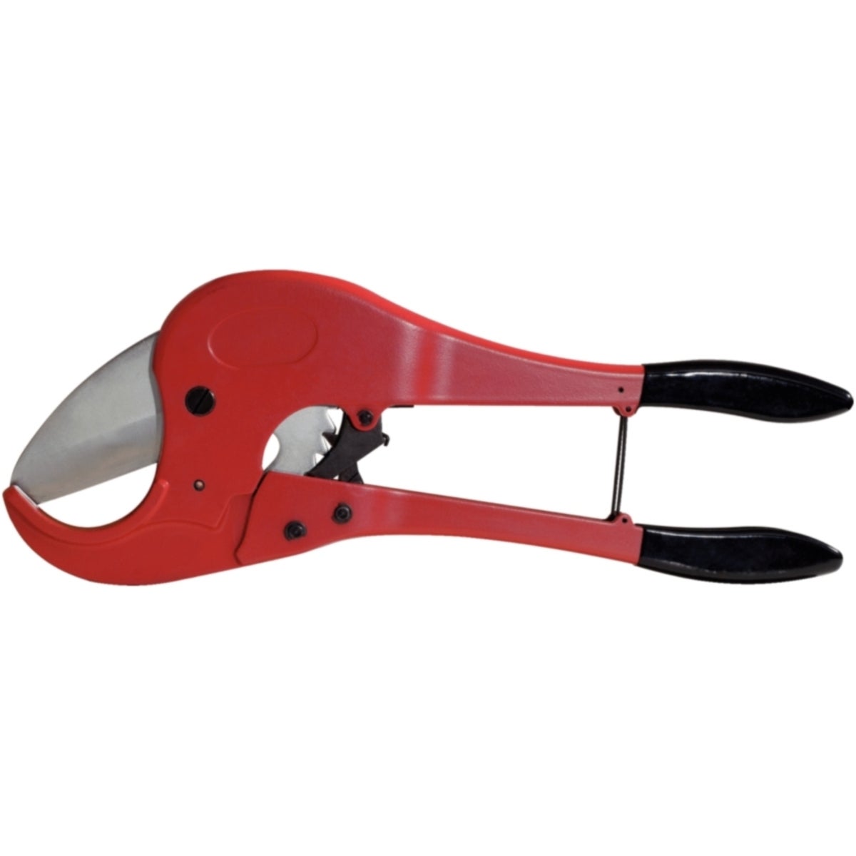 FOT_PRO_ALG_SCHESAE_222_0004_SALL_AING_V1