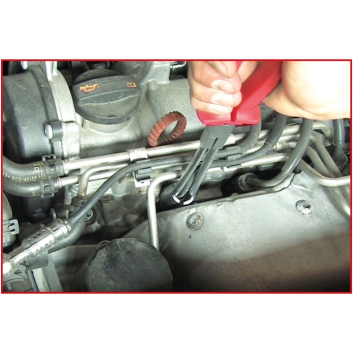 FOT_ANW_ALG_AUTO_500_7510_AW2_SALL_AING_V1