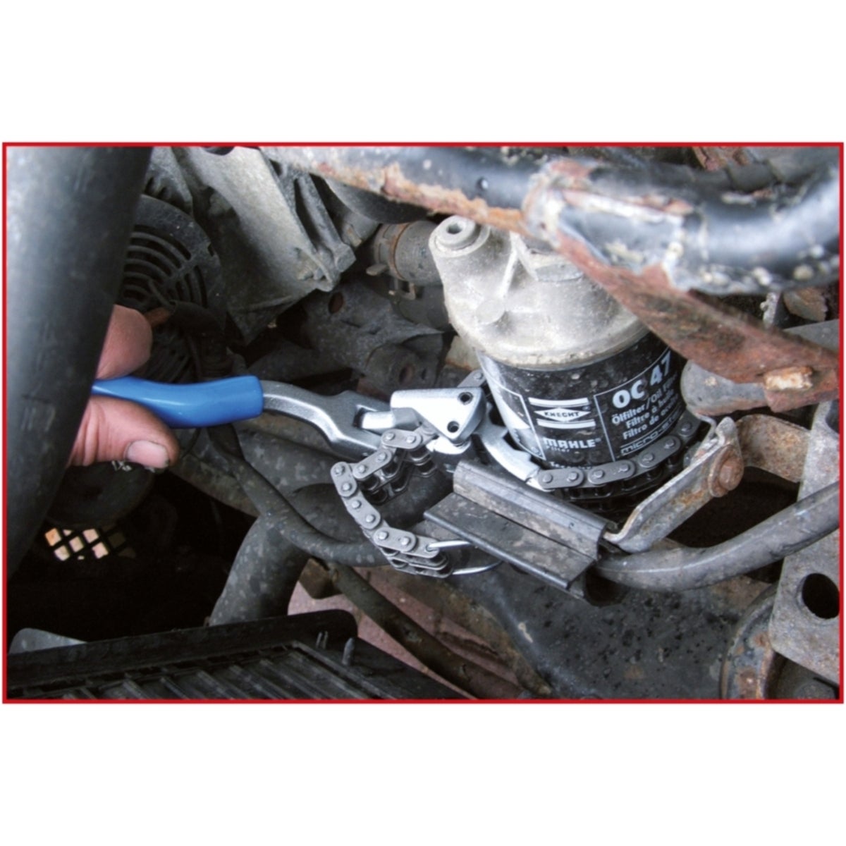 FOT_ANW_ALG_AUTO_150_937X_5-6__AW1_SALL_AING_V1