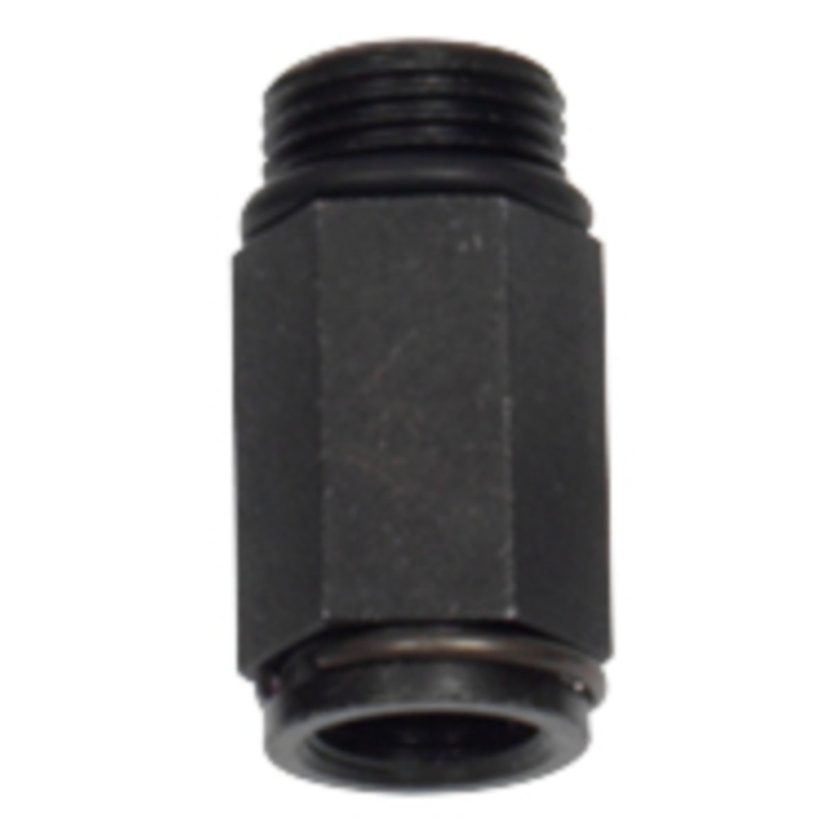 FOT_PRO_ALG_AUTO_150_1694_SALL_AING_V1