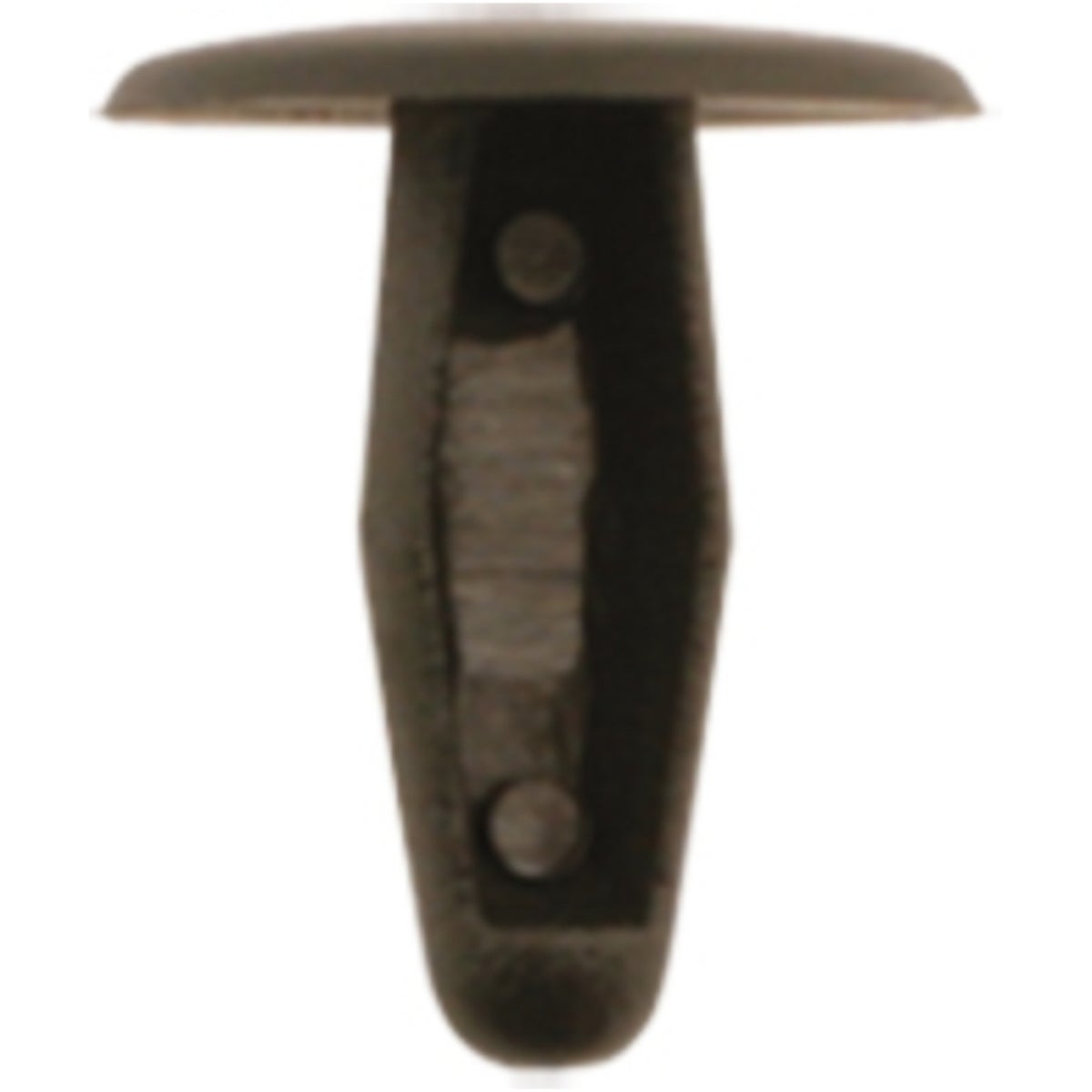 FOT_PRO_ALG_AUTO_420_0420_SALL_AING_V1