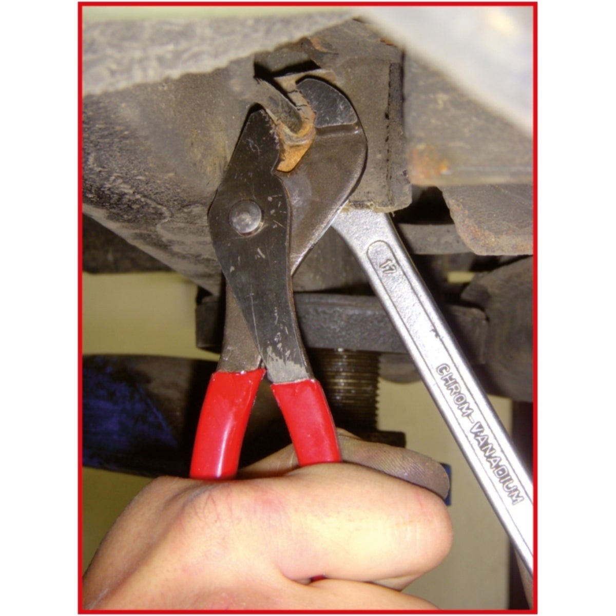 FOT_ANW_ALG_ZA_115_1361_AW1_SALL_AING_V1