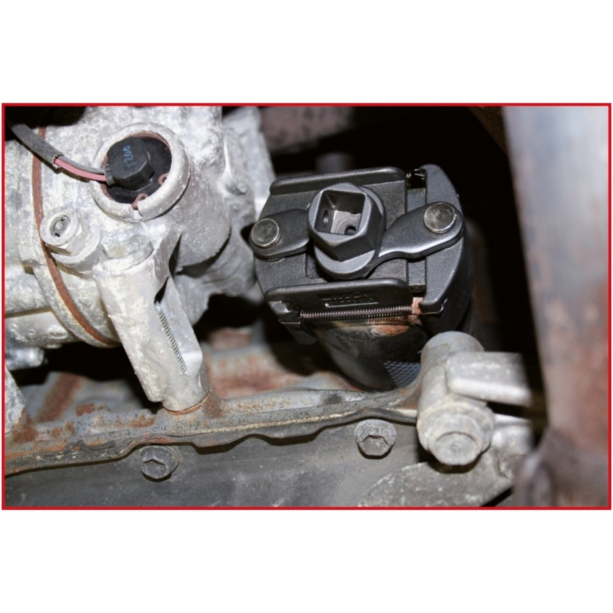 FOT_ANW_ALG_AUTO_700_500X_5-6__AW3_SALL_AING_V1