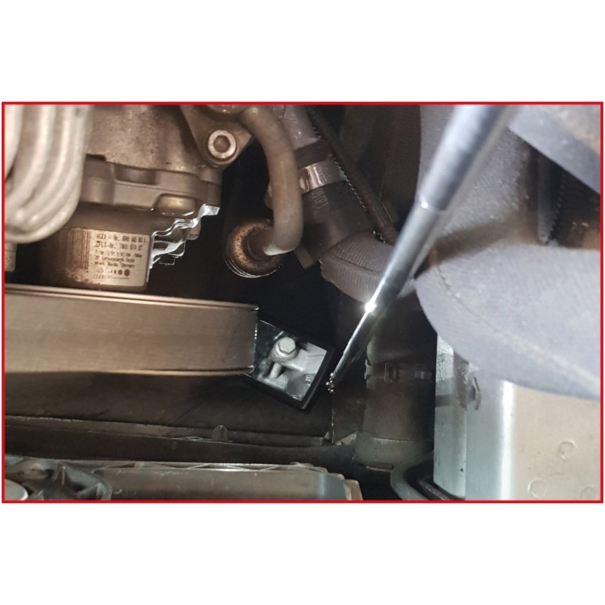 FOT_ANW_ALG_AUTO_550_1136_AW1_SALL_AING_V1