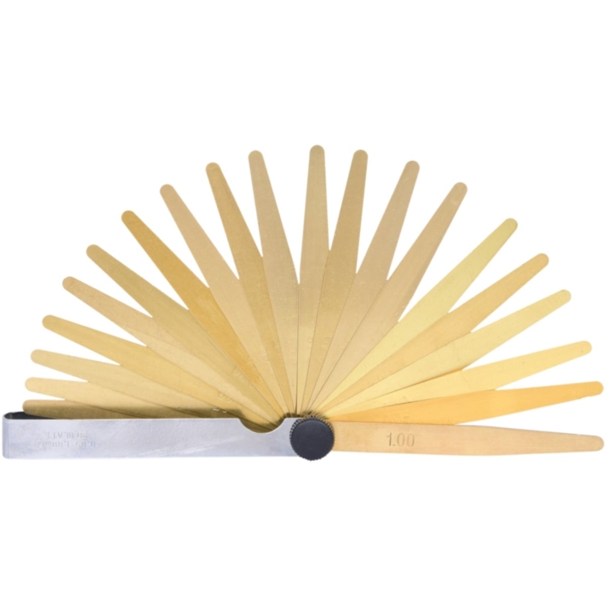 FOT_PRO_ALG_300_0613_SALL_AING_V1