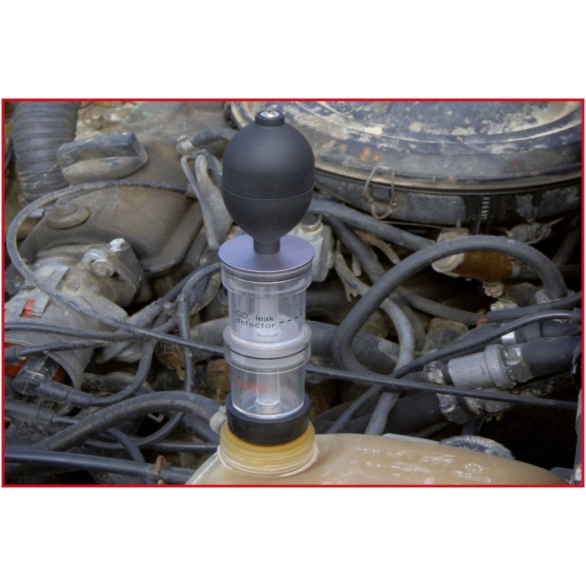 FOT_ANW_ALG_AUTO_150_1910_AW5_SALL_AING_V1