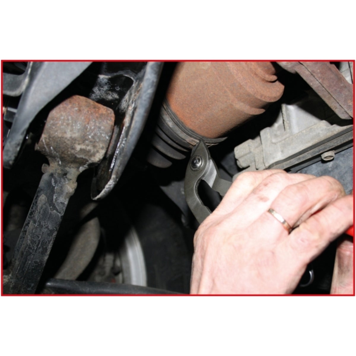 FOT_ANW_ALG_AUTO_115_1186_AW3_SALL_AING_V1
