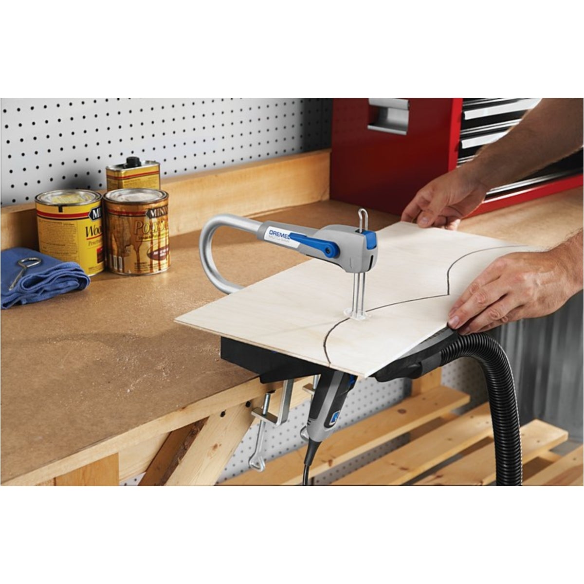 IMG-RD-10633-53S9ICp313RhXRO