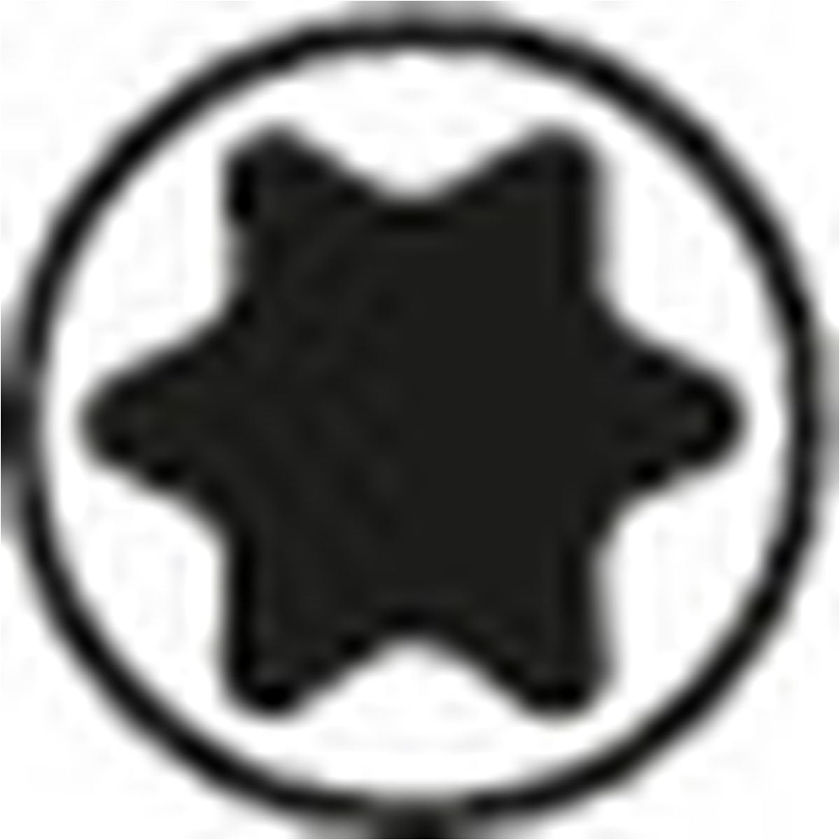 sgn_pc_innen_torx