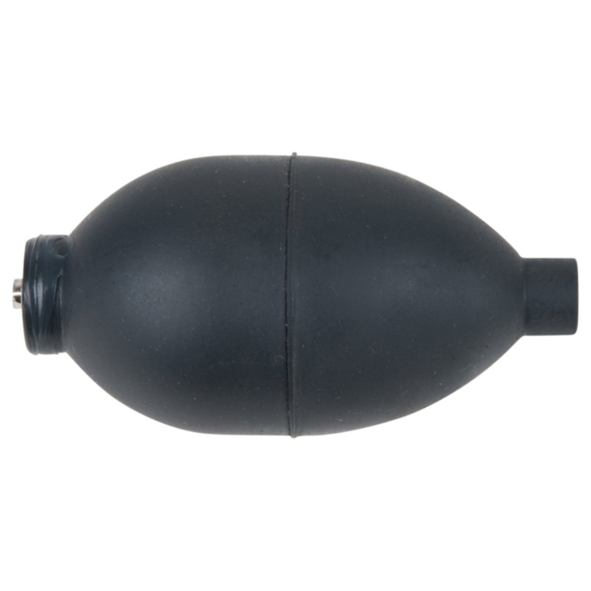 FOT_PRO_ALG_AUTO_150_1911_SALL_AING_V1