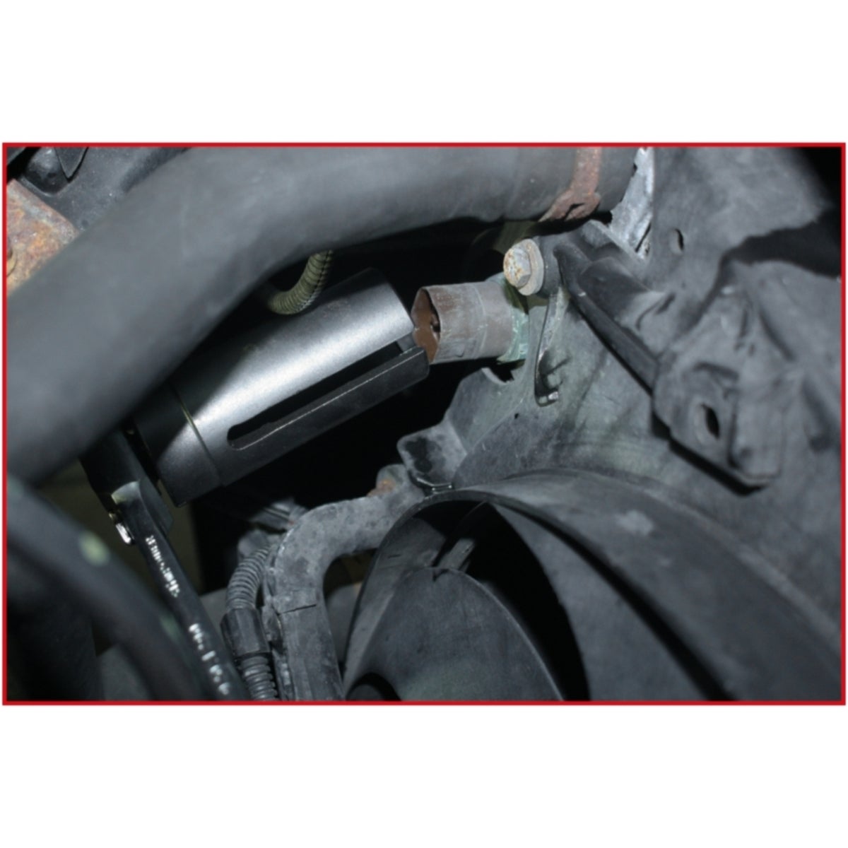 FOT_ANW_ALG_AUTO_150_2123_AW2_SALL_AING_V1