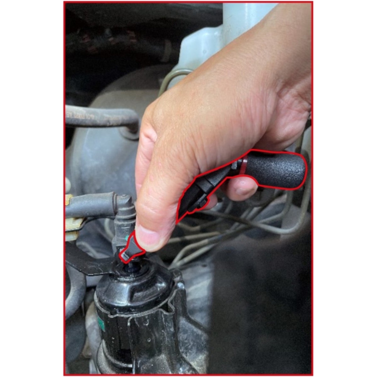 FOT_ANW_ALG_AUTO_115_0909_AW5_SALL_AING_V1