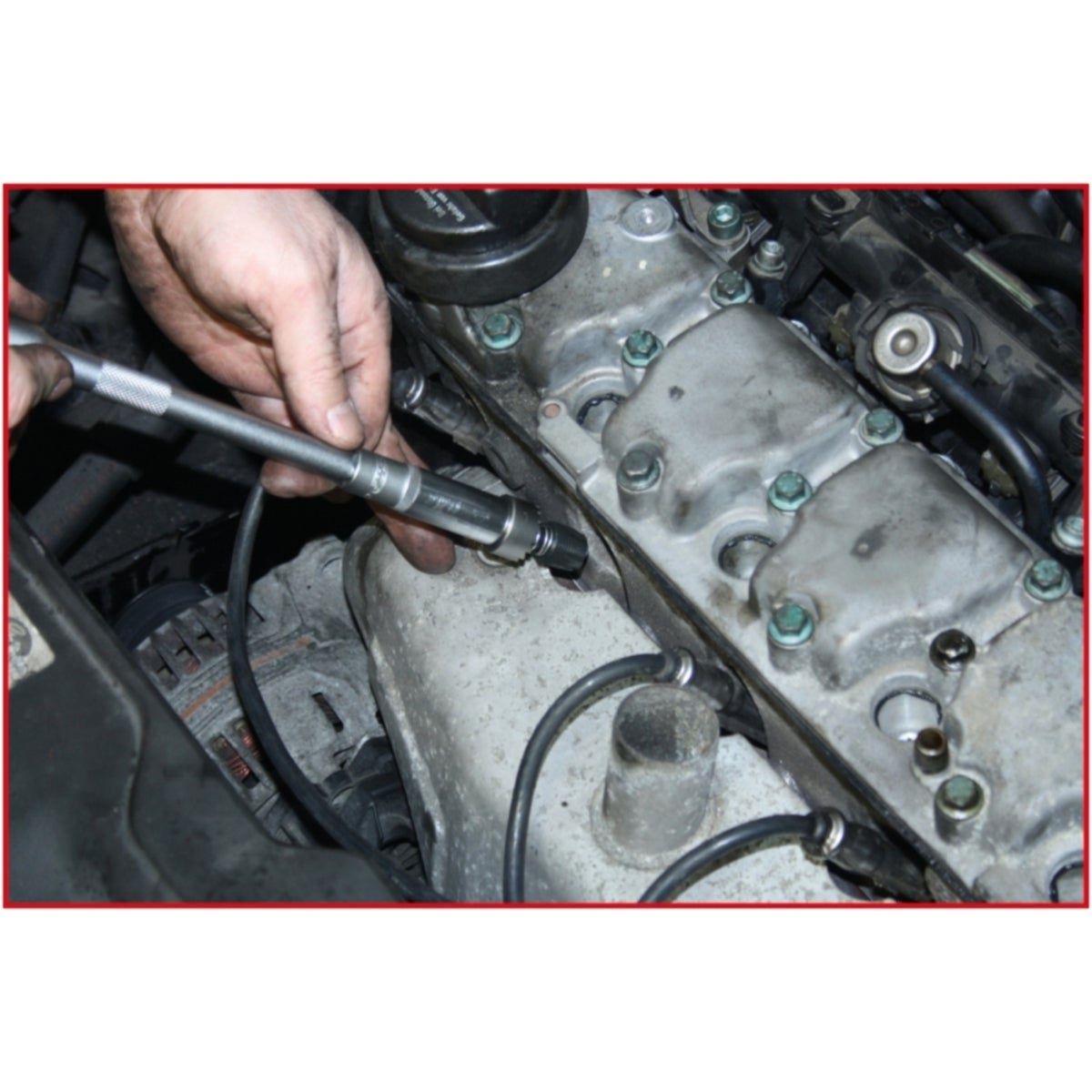 FOT_ANW_ALG_AUTO_150_501X_6-8__AW1_SALL_AING_V1