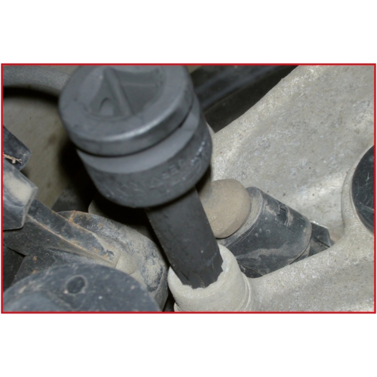 FOT_ANW_ALG_AUTO_515_1172_AW1_SALL_AING_V1