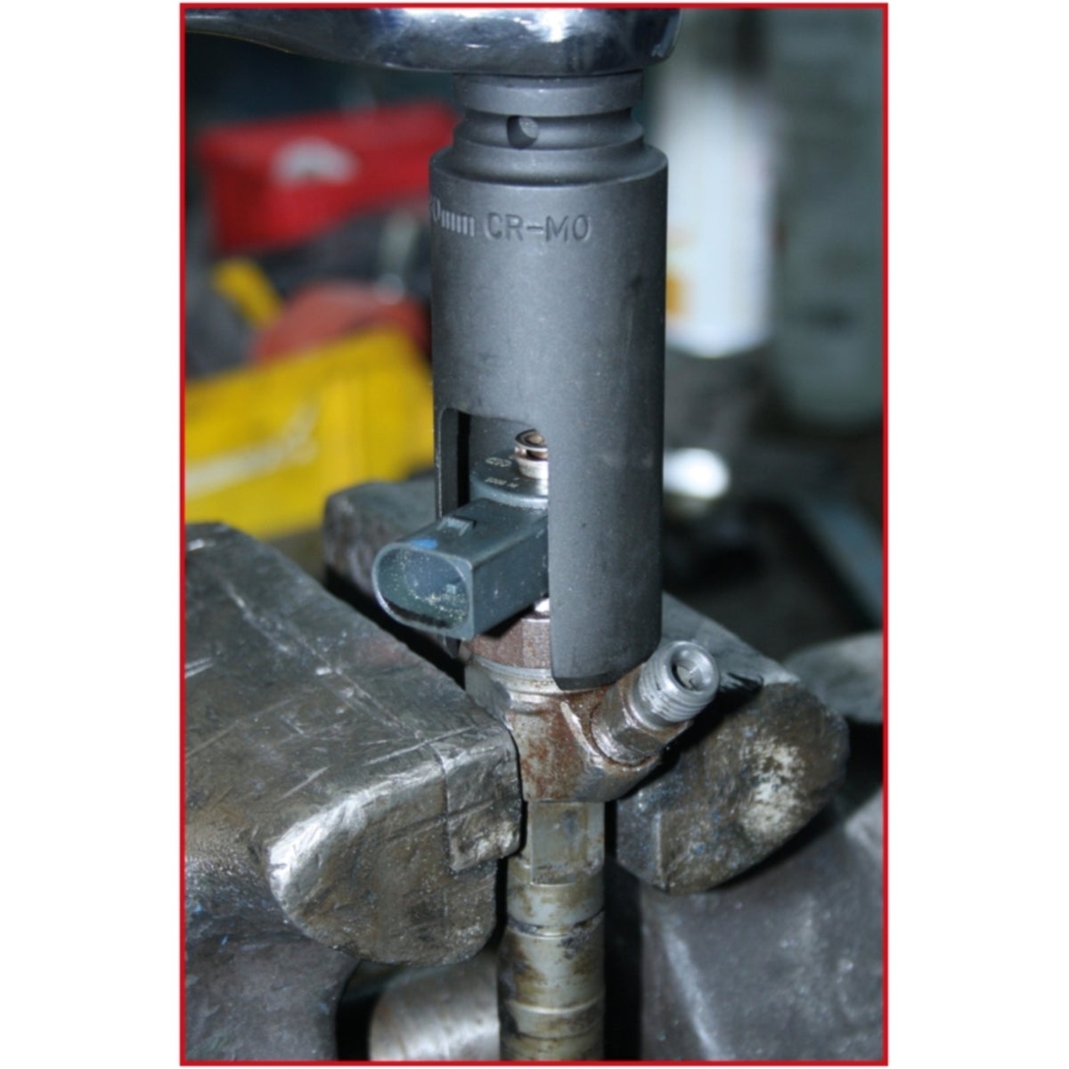 FOT_ANW_ALG_AUTO_150_2310_AW5_SALL_AING_V1