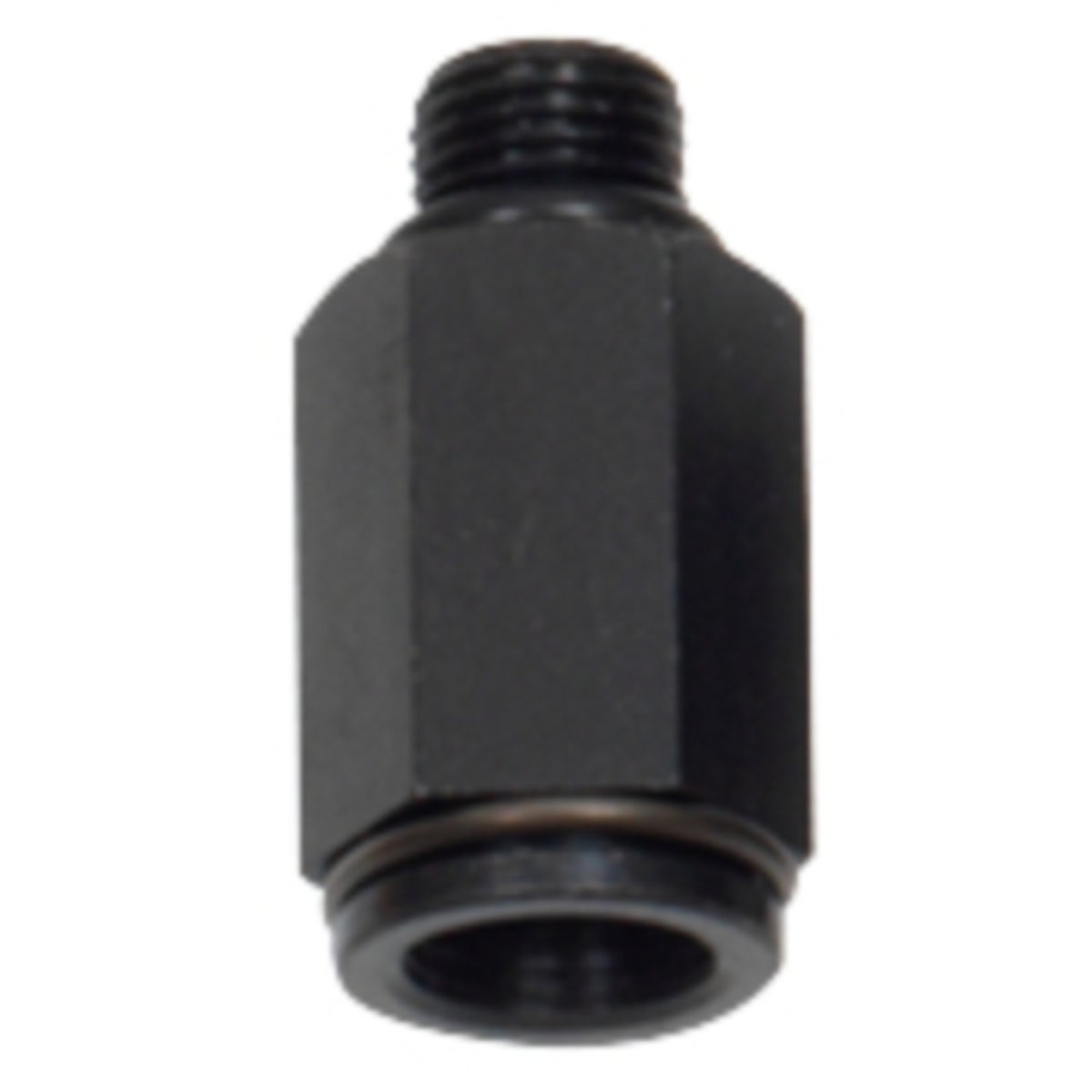 FOT_PRO_ALG_AUTO_150_1693_SALL_AING_V1