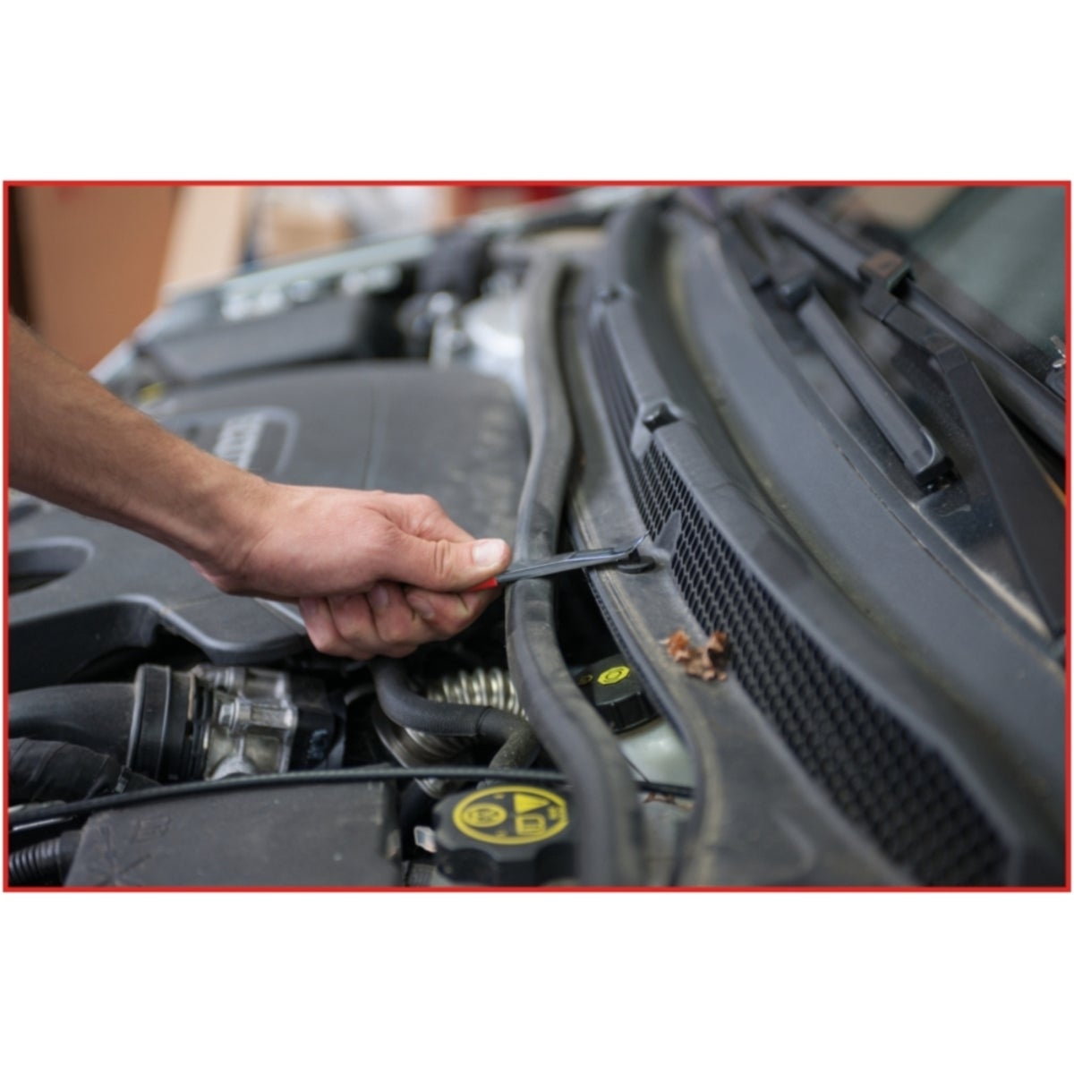 FOT_ANW_ALG_AUTO_140_2325_AW2_SALL_AING_V1