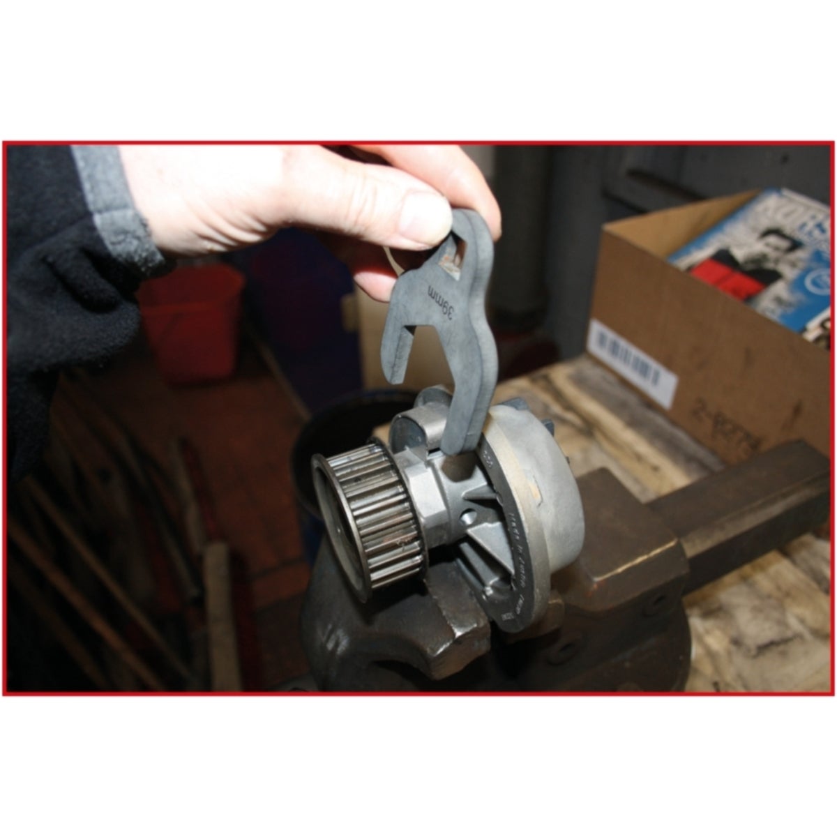 FOT_ANW_ALG_AUTO_516_100X_1-4__AW2_SALL_AING_V1