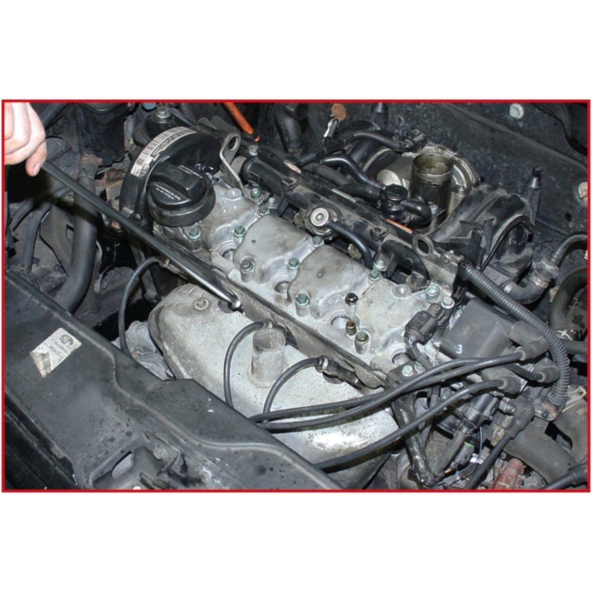 FOT_ANW_ALG_AUTO_517_113X_1-4__AW2_SALL_AING_V1