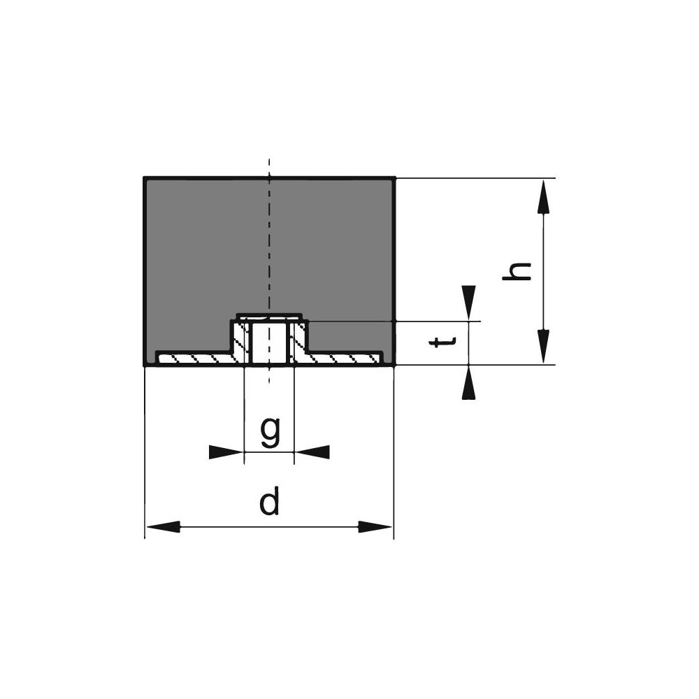 idt202819