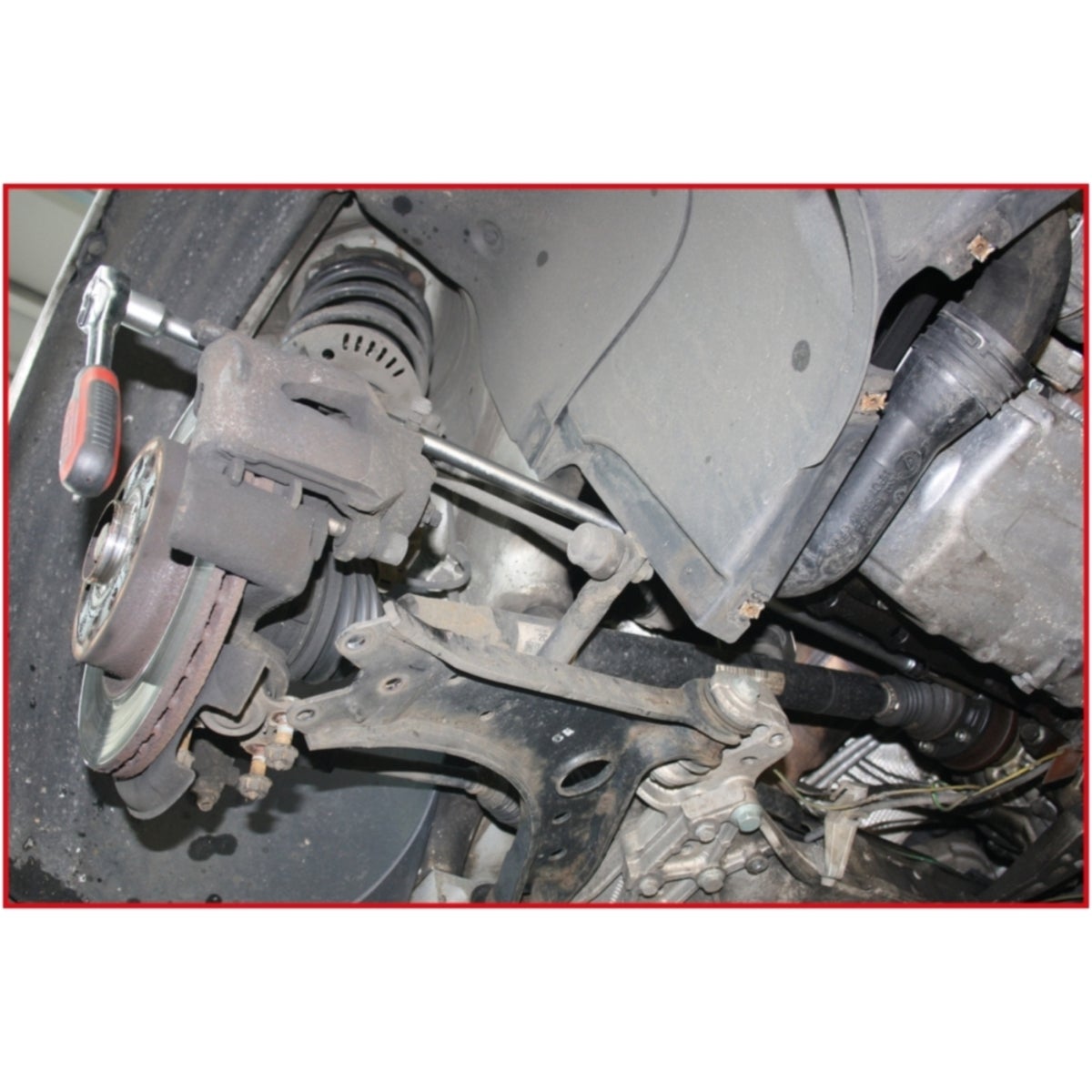 FOT_ANW_ALG_AUTO_911_148X_7-9__AW1_SALL_AING_V1