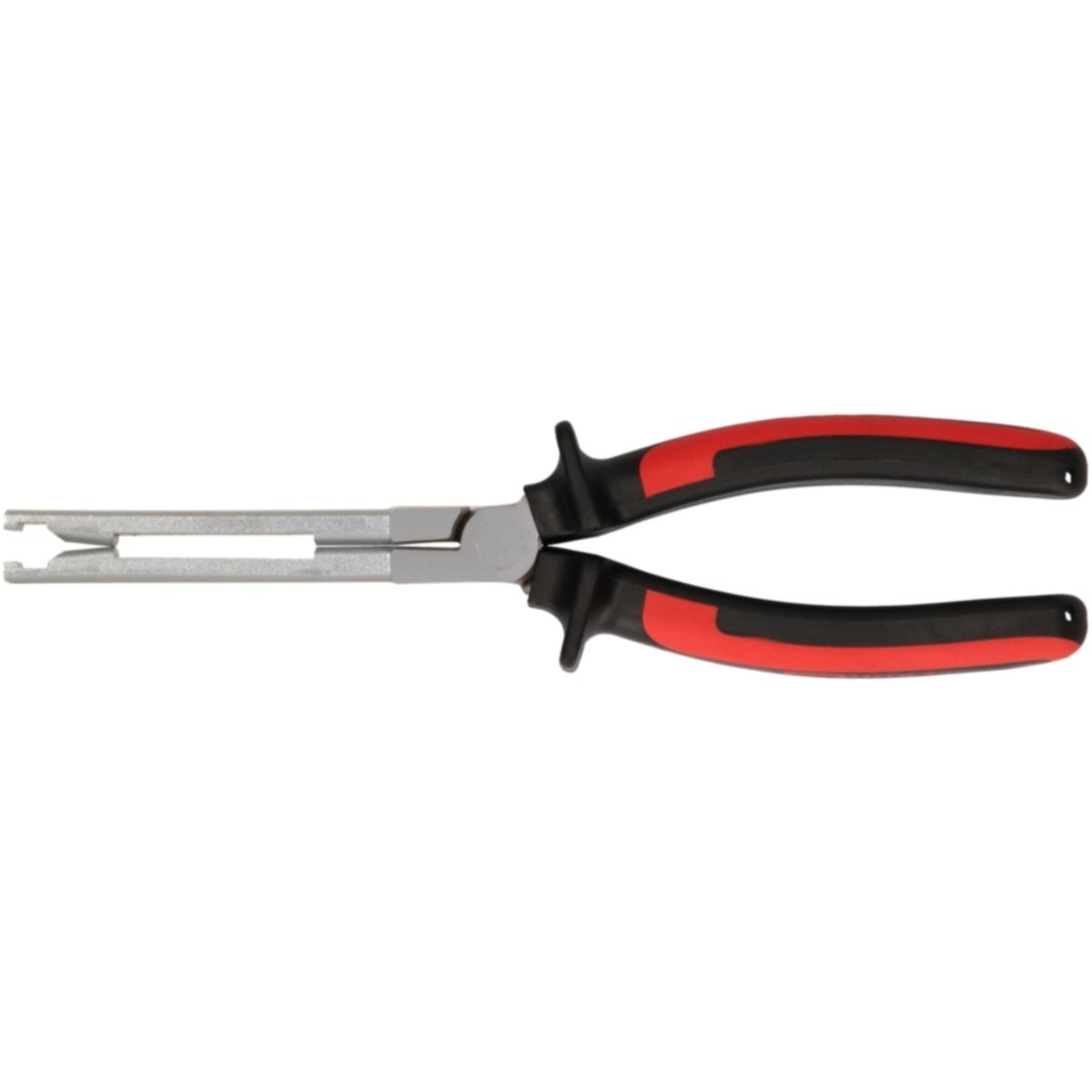 FOT_PRO_ALG_ZA_500_7330_SALL_AING_V1