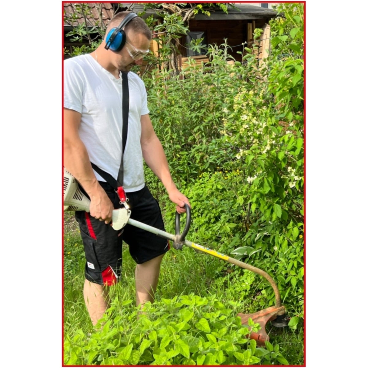 FOT_ANW_ALG_WZAL_310_0131_AW1_SALL_AING_V1