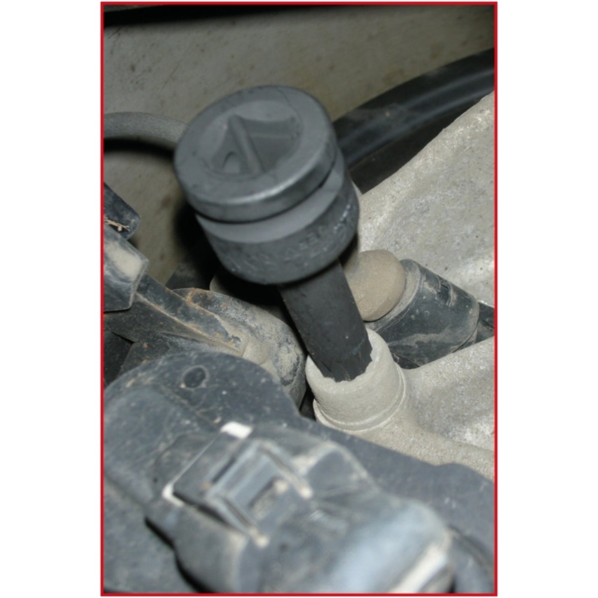 FOT_ANW_ALG_AUTO_515_1160_AW4_SALL_AING_V1