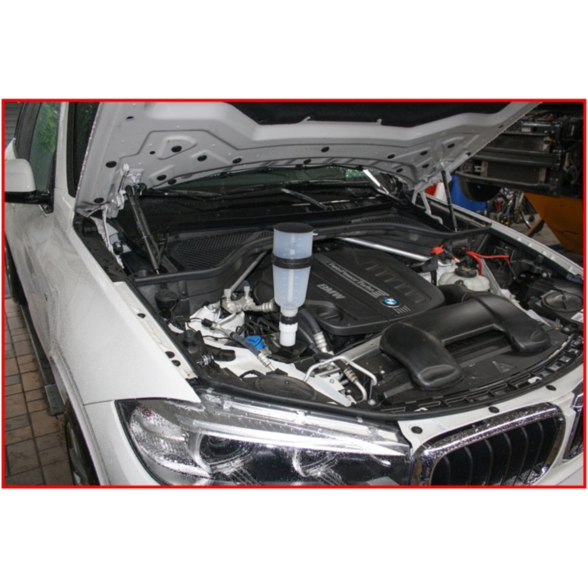 FOT_ANW_ALG_AUTO_550_1287_AW2_SALL_AING_V1