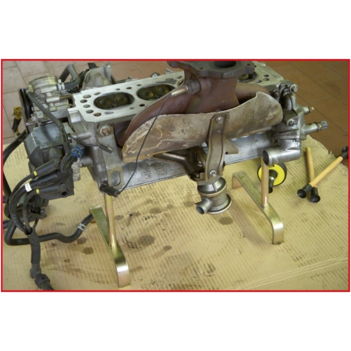 FOT_ANW_ALG_AUTO_150_1170_AW1_SALL_AING_V1