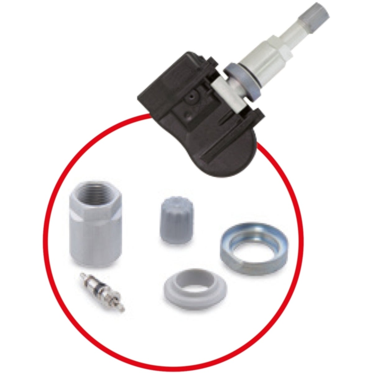 FOT_ANW_ALG_AUTO_100_1180_AW1_SALL_AING_V1