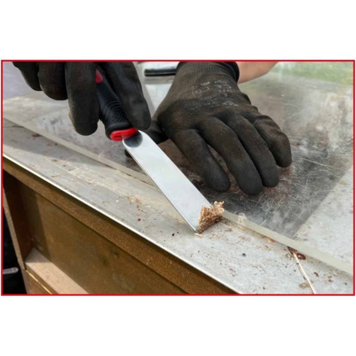 FOT_ANW_ALG_SCHESAE_907_2210_AW1_SALL_AING_V1