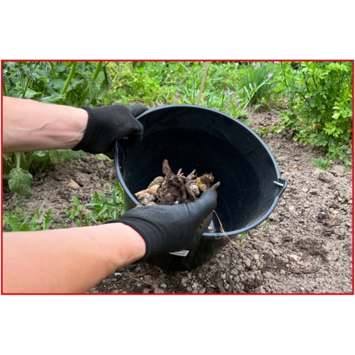 FOT_ANW_ALG_WZAL_140_0036_AW1_SALL_AING_V1