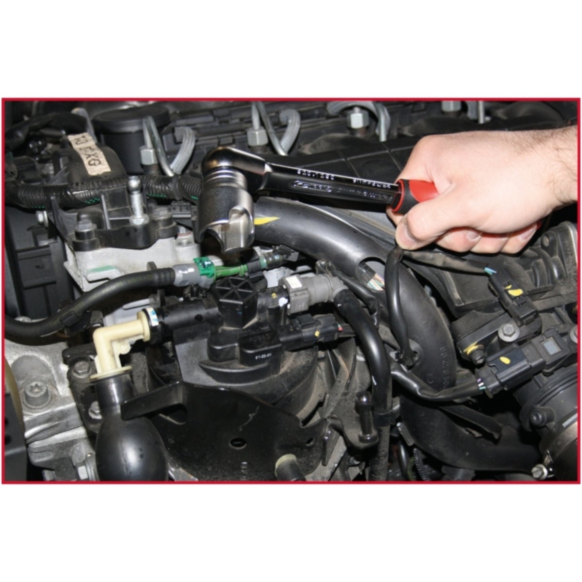 FOT_ANW_ALG_AUTO_150_3195_AW3_SALL_AING_V1