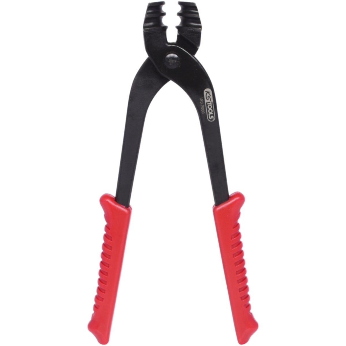 FOT_PRO_ALG_120_2000_SALL_AING_V1