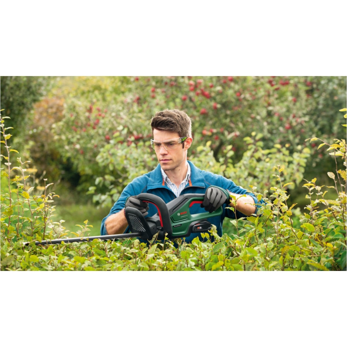IMG-RD-363312-117